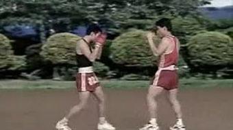 成人散打教学视频,实战技巧与基础训练解析