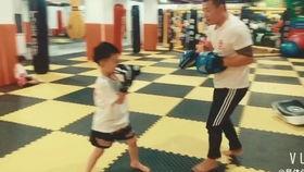 成人散打教学视频,实战技巧与基础训练解析