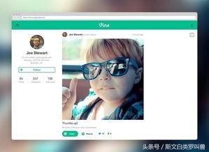 km短视频成人网站,内容解析与行业洞察