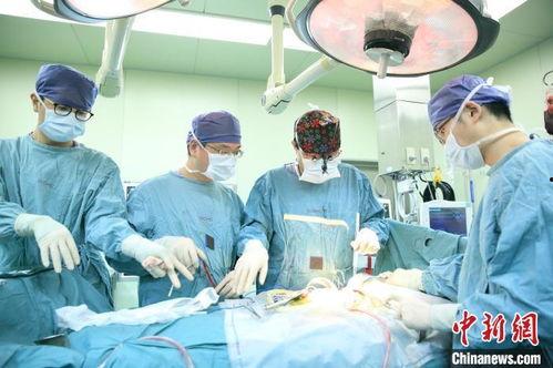 病人成人抽血视频大全集,成人抽血全过程视频集锦解析