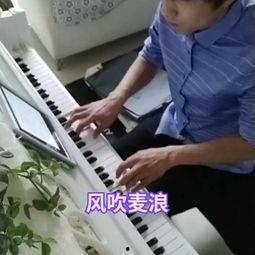 成人钢琴上课视频大全,全方位掌握成人钢琴学习技巧