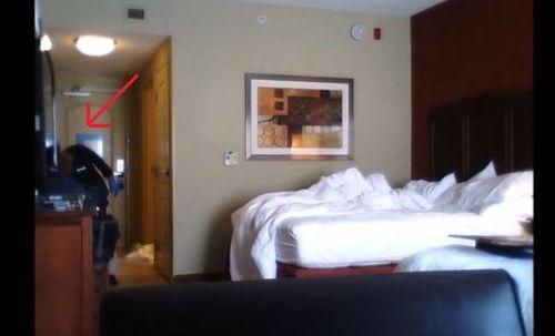 成人体验趣味酒店视频,一场别开生面的感官之旅