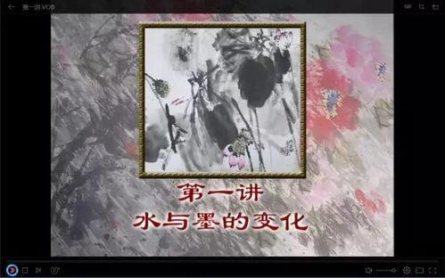 成人学国画花鸟视频教程,跟随视频学绘花鸟画技巧