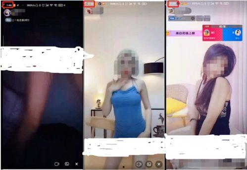 成人性视频91草莓,成人视频领域的璀璨明珠