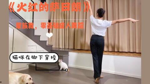 简单成人蒙族舞蹈视频,跟随蒙族舞蹈视频感受民族风情