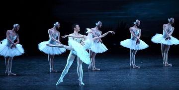 我最乖舞蹈成人舞蹈视频,成人舞蹈视频魅力展现