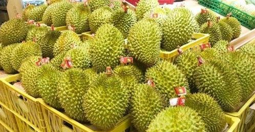 榴莲视频成人苏州,榴莲视频带你领略成人魅力