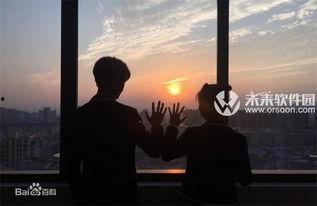 成人午夜高清视频资源,揭秘成人高清视频资源背后的故事