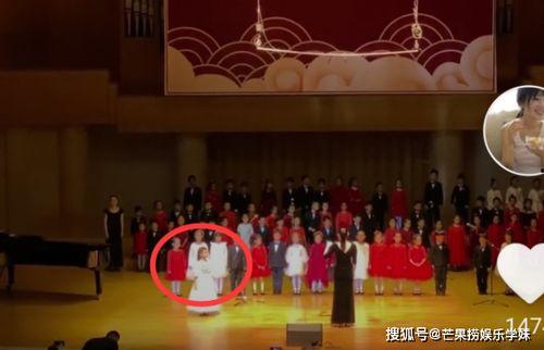 寒假成人集训视频录制,技能提升之旅